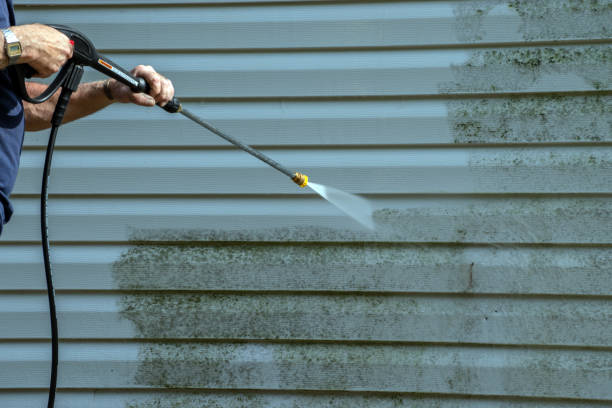 Best Window and Screen Pressure Cleaning in Farwell, TX